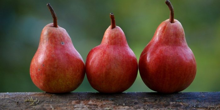 Minceur : 15 aliments pour se rassasier sans grossir