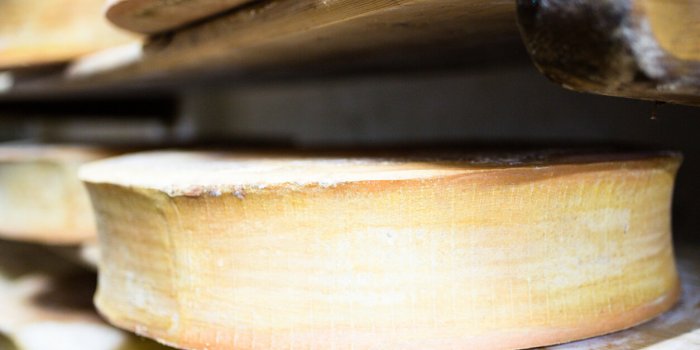 Minceur : quels fromages des salades dâété sont les plus caloriques ?
