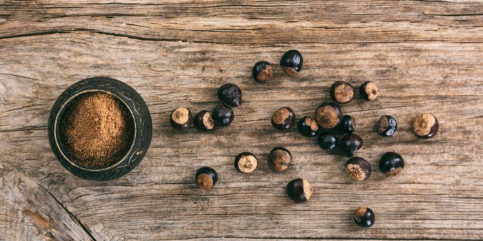 7 alternatives au cafÃ© et leurs particularitÃ©s pour booster votre matinÃ©e !