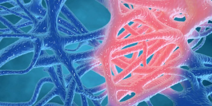 COVID long : les 5 différentes formes selon une infectiologue