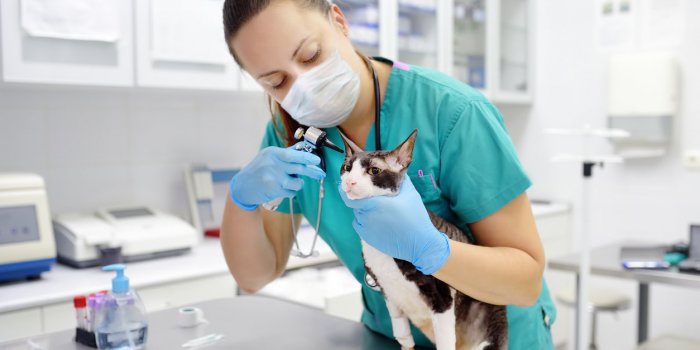Covid-19 : la liste des professionnels qui peuvent vacciner