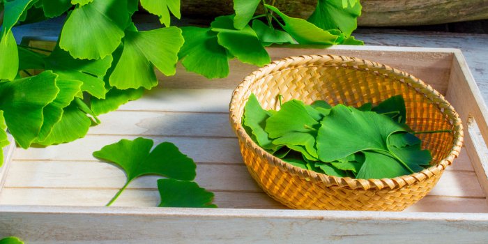 Dysfonction érectile : 5 plantes et épices qui vous redonnent de la vigueur