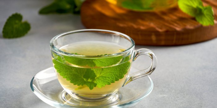RentrÃ©e : les 6 meilleures infusions pour bien dormir