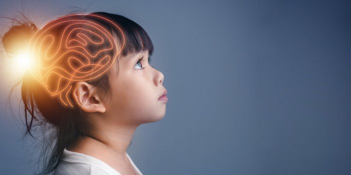 7 idÃ©es reÃ§ues sur l'intelligence d'aprÃ¨s un neuroscientifique