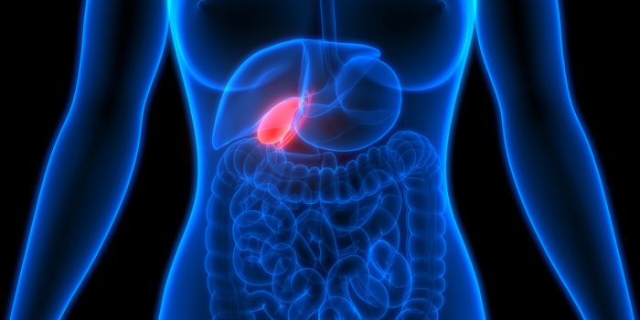 Cancer : "J'avais perdu deux tailles de robe sans raison"