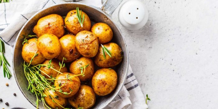 7 aliments alcalins pour rééquilibrer votre organisme acidifié