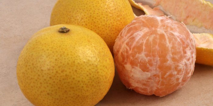 Ces 7 fruits peuvent interagir avec les médicaments !