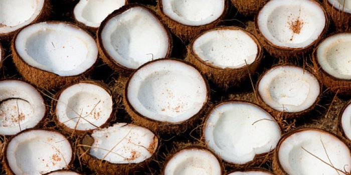Le Top 15 aliments riches en fibres
