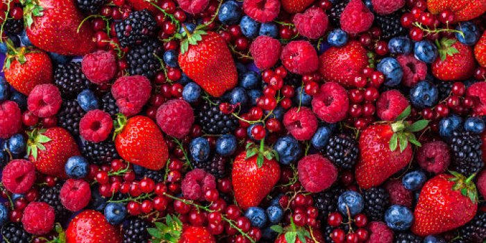 Le Top 15 aliments riches en fibres