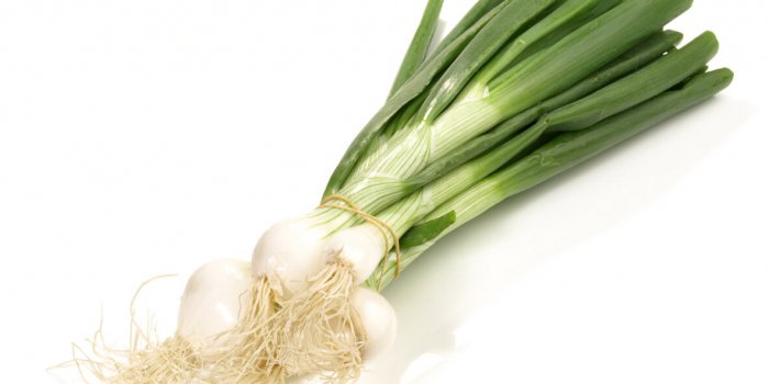 Les 8 lÃ©gumes primeurs et pourquoi ils sont meilleurs !