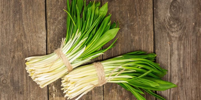 Les 8 lÃ©gumes primeurs et pourquoi ils sont meilleurs !