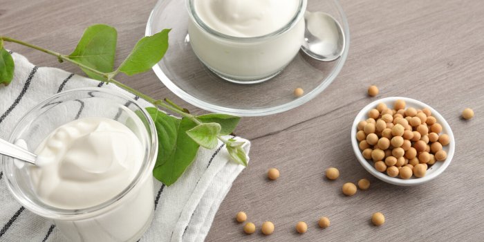 Vous êtes intolérant au lactose ? Voici 7 alternatives pour remplacer la crème épaisse dans vos plats !Â