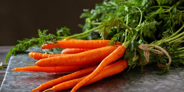 7 astuces pour conserver plus longtemps ses fruits et légumes
