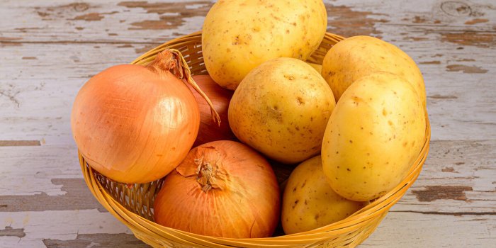 7 astuces pour conserver plus longtemps ses fruits et légumes