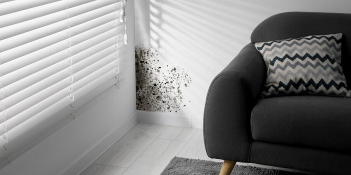 5 signes que votre chambre dâhôtel est infestée par les punaises de lit