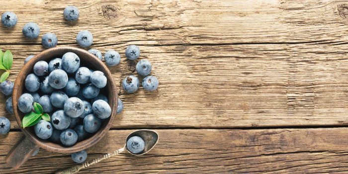 Cholestérol : 5 aliments pour maintenir les bons taux avec le régime nordique
