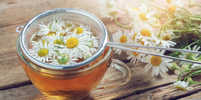 5 plantes pour prendre soin de sa vue