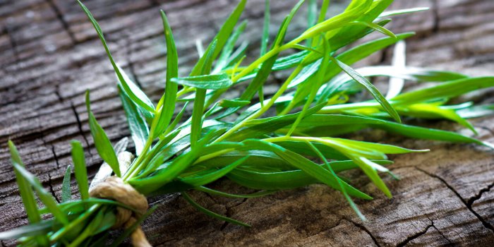 8 herbes aromatiques d'été qui allient goût et santé !Â