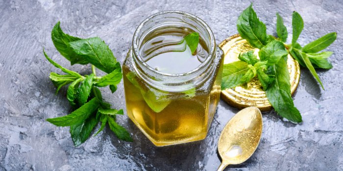 8 herbes aromatiques d'été qui allient goût et santé !Â