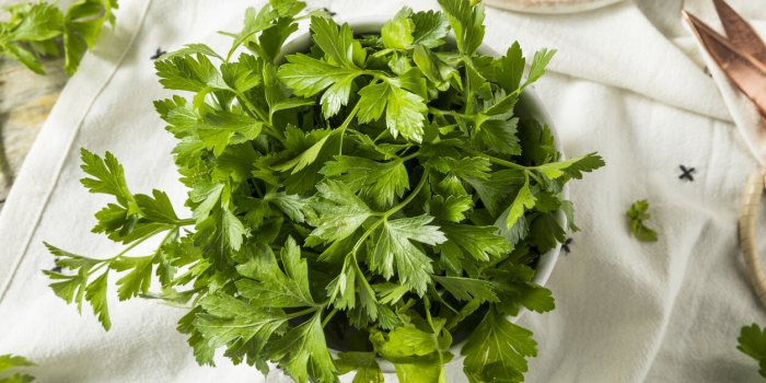 8 herbes aromatiques d'été qui allient goût et santé !Â