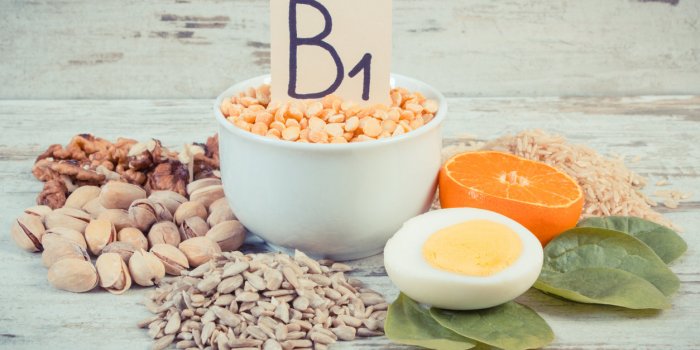 Quelles sont les 14 vitamines essentielles Ã  lâorganisme ?