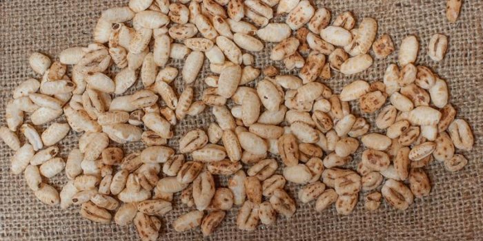 Top 10 des aliments Ã  supprimer pour maigrir