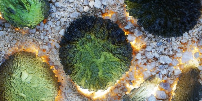 LithothÃ©rapie et digestion : 7 pierres pour bien digÃ©rer