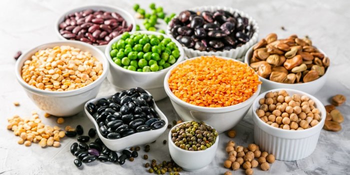 Microbiote : les bÃ©nÃ©fices des fruits rouges et lÃ©gumineuses 