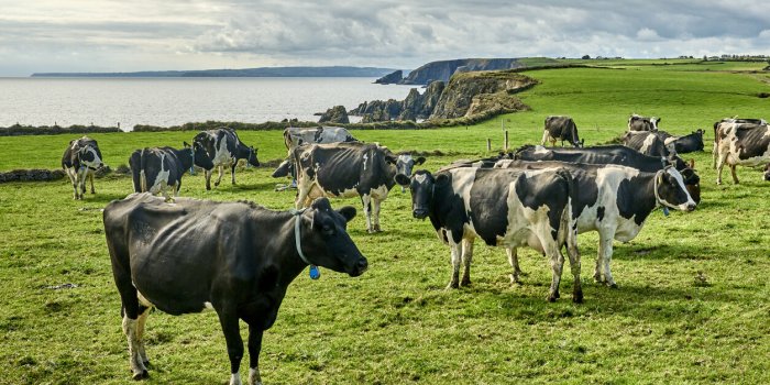 Dans quels pays d'Europe trouve-t-on le plus de pesticides, dÃ©lÃ©tÃ¨res Ã  la santÃ© ?