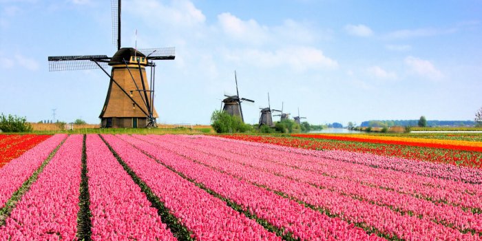 Dans quels pays d'Europe trouve-t-on le plus de pesticides, dÃ©lÃ©tÃ¨res Ã  la santÃ© ?