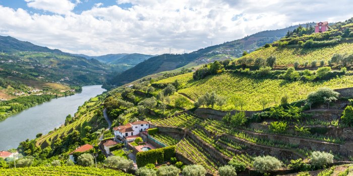 Dans quels pays d'Europe trouve-t-on le plus de pesticides, dÃ©lÃ©tÃ¨res Ã  la santÃ© ?