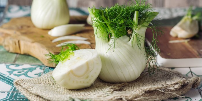 genuine and fresh raw fennel on a rustic background