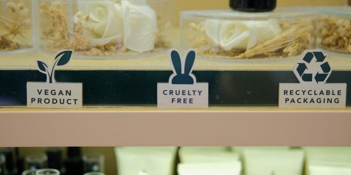 7 raisons de passer aux cosmétiques solides