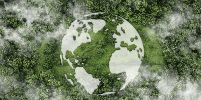 7 raisons de passer aux cosmétiques solides