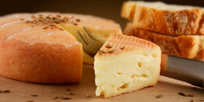 Salmonelle, Listeria : quels sont les fromages les plus risqués ?