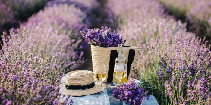 7 aliments pour booster la libido féminine