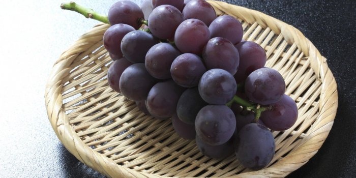 ThÃ© vert, cacao, raisins... Ces aliments qui vous aident Ã  combattre le coronavirus