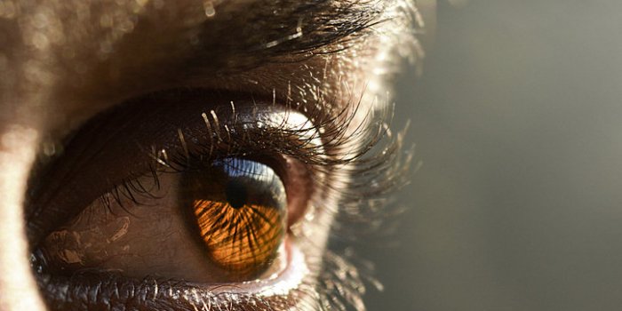 6 raisons qui font bailler (autre que la fatigue)