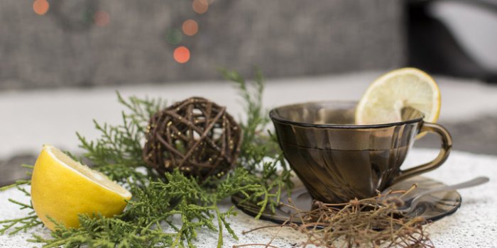 5 recettes de tisanes détox pour nettoyer votre organisme