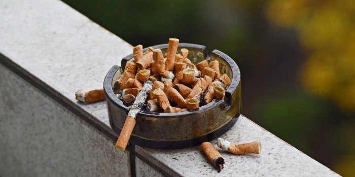 Cancer du poumon : 10 facteurs qui augmentent vos risques