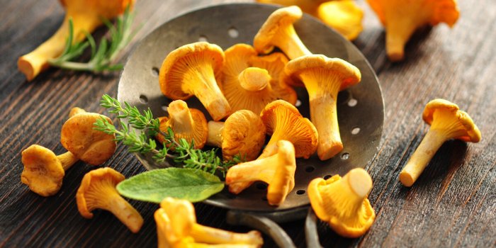 Les bienfaits santé des champignons