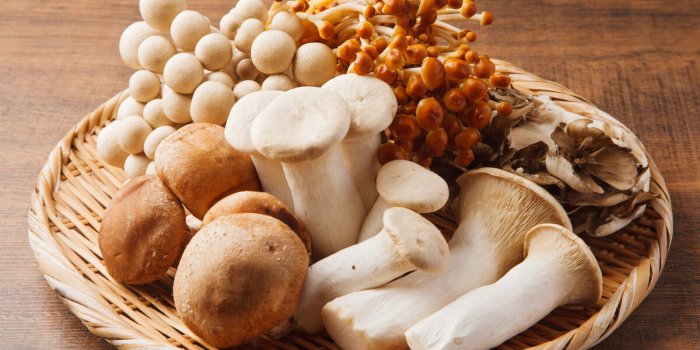Les bienfaits santé des champignons