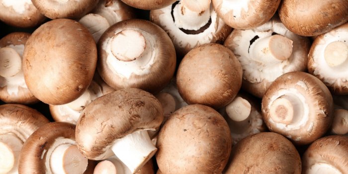 Les bienfaits santé des champignons
