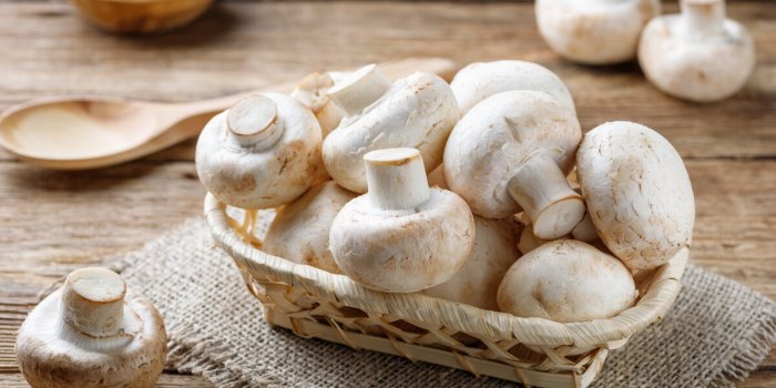 Les bienfaits santé des champignons