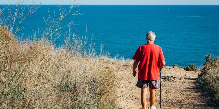 Alzheimer : 6 habitudes de vie qui peuvent la prévenir selon une étude menée 10 ans