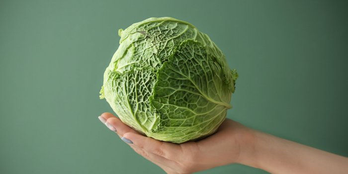 Les 20 aliments les plus longs Ã  digÃ©rer !