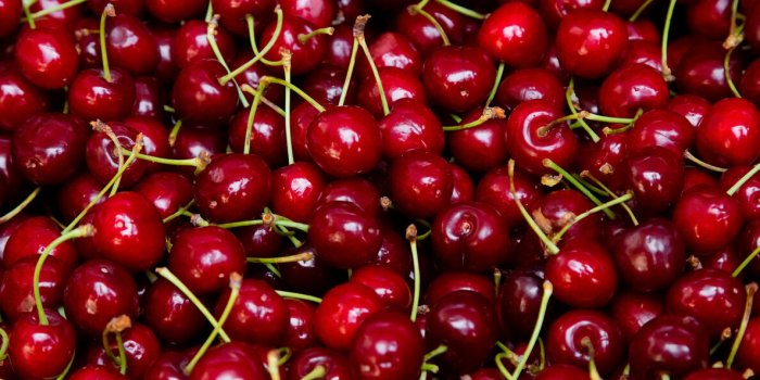 Les fruits quâil vaut mieux consommer bio en 2024