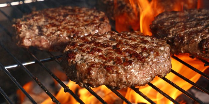 Perte de poids : les 8 aliments les plus riches en protÃ©ines maigres 