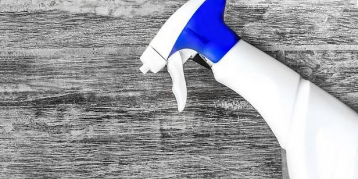 AraignÃ©es : 6 astuces pour vous en dÃ©barrasser Ã  la maison