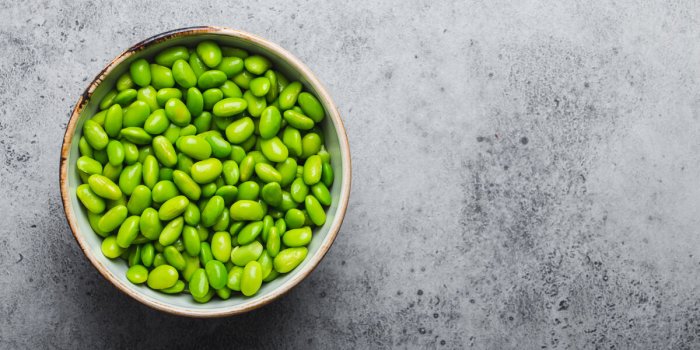 Protéines : comment augmenter son apport alimentaire facilement